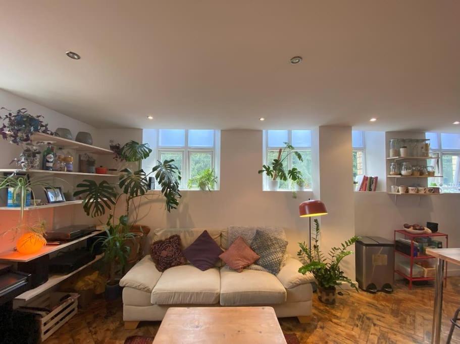 Biophilic Duplex - Family & Pet Friendly Sheffield