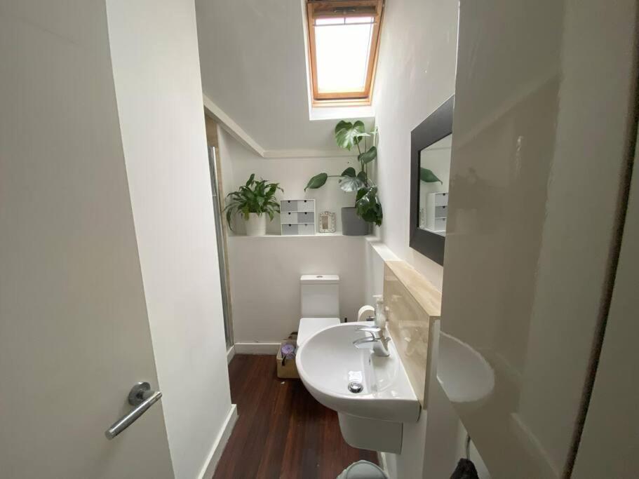 Biophilic Duplex - Family & Pet Friendly Sheffield