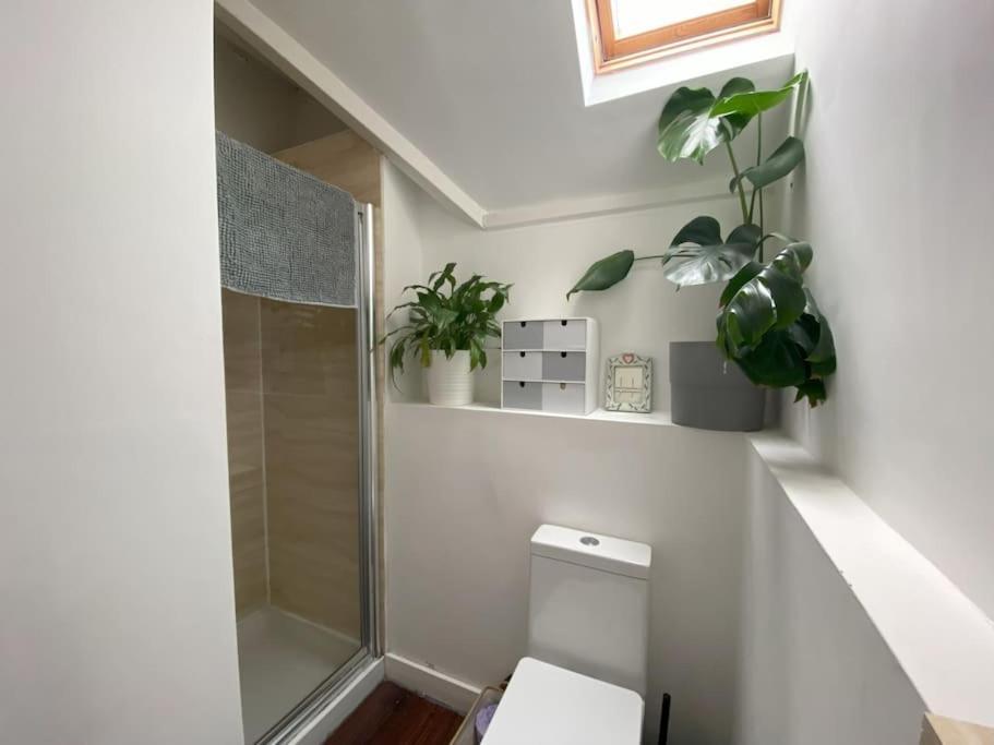 Apartment Biophilic Duplex - Family & Pet Friendly